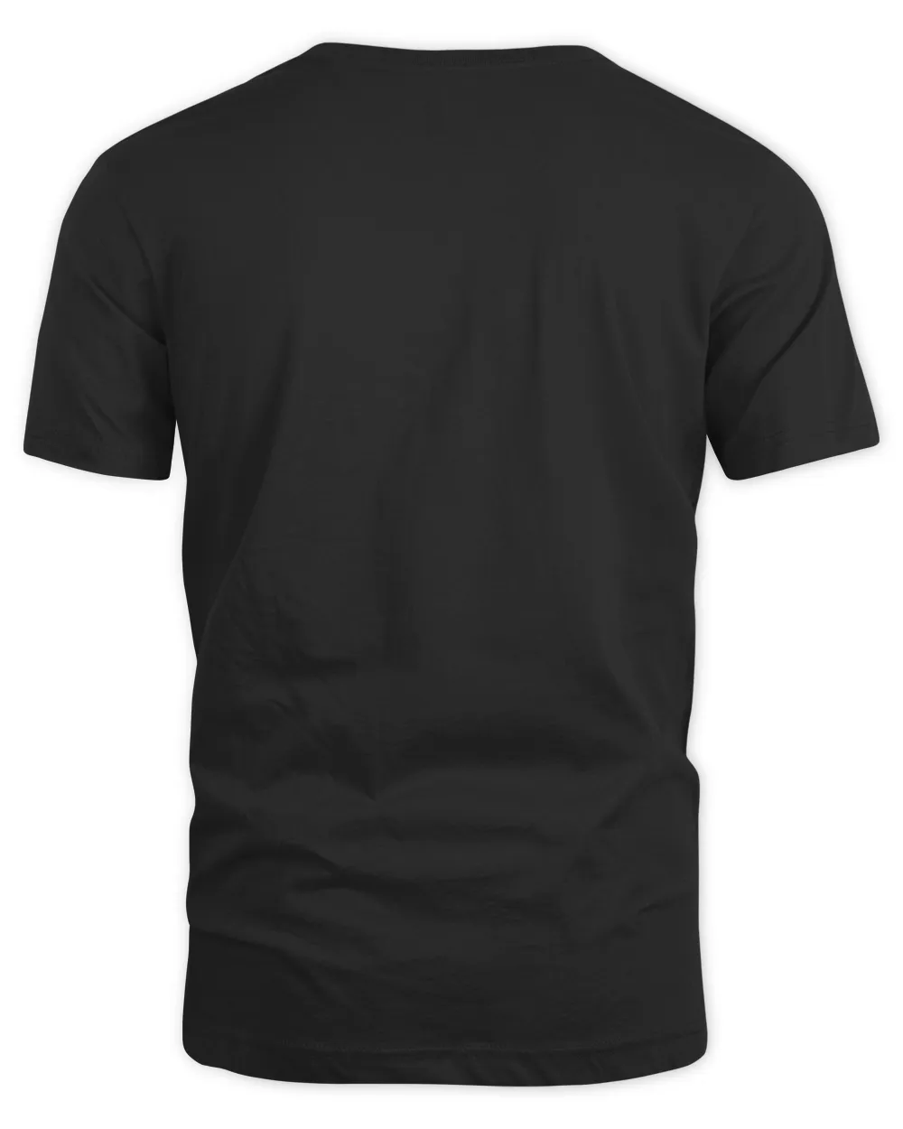 Vintage Have The-Day You Voted For Retro Rainbow T-Shirt Unisex Standard T-Shirt black s